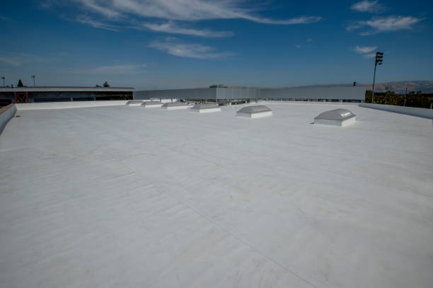 Best Hot Roofs  in Hamilton, TX